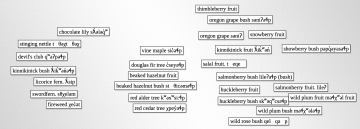 example venn diagram plant sort using english and hən̓q̓əmin̓əm̓ names. plants are sorted by 'fruit' 'no fruit'